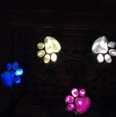 Solar Bear Paw Light