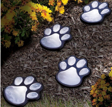 Solar Bear Paw Light